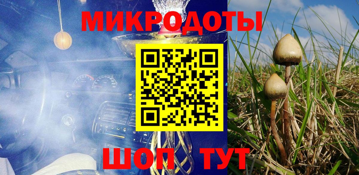 Кизляр  Галлюциногенные грибы Magic Shrooms  Вход с VPN  Псилоцибиновые грибы мухоморы 